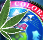 marijuana-colorado-pot