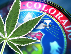 marijuana-colorado-pot
